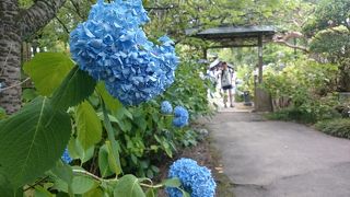 慈雲山 資福禅寺 (資福寺)