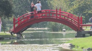 日本らしさが紹介されています