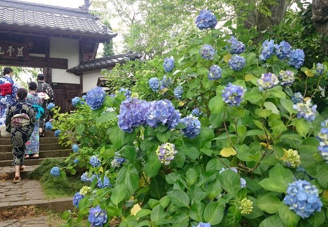 慈雲山 資福禅寺 資福寺 クチコミ アクセス 営業時間 仙台 フォートラベル