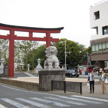 鳥居も見事ですが、手前の狛犬も大きいです