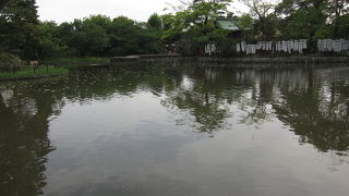 絵図をみると昔よりも小さくなった源平池