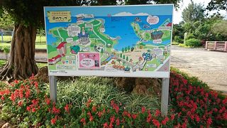 お散歩するのに最高