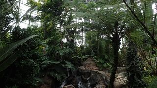 イースターイベント