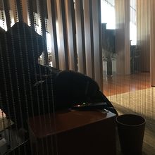 半個室風な感じです