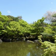 好古園内から見た天守閣