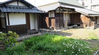 聞いたことがある