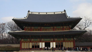 カササギを見てきました。