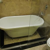 シャワーカーテンはありません