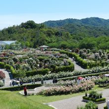 展望所から見た全景