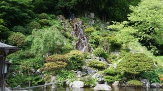 よく整備された美しい日本庭園