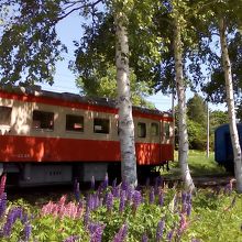 青空・白樺・ルピナス・そして廃線跡の客車
