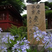 安産祈願の名門 おんめさま By Kazekozo 大巧寺のクチコミ フォートラベル