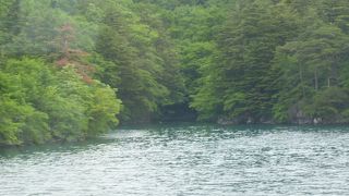 遊覧船からの眺め