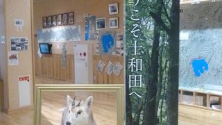 ハンモックがありました