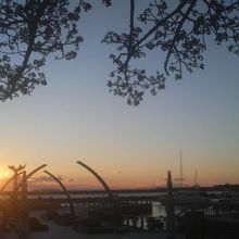 朝7時少し前、砂浜の熱海桜も朝日に染まりました