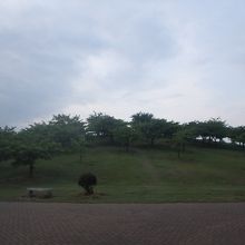 この公園の