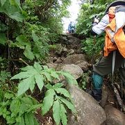 焼石岳(2)登山 　焼石岳に嫌われているようです