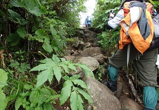 焼石岳(2)登山 　焼石岳に嫌われているようです