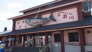 珍しい！鮭の博物館！