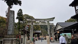 海外観光客がたくさん