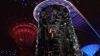 １日遊べる近未来型植物園！