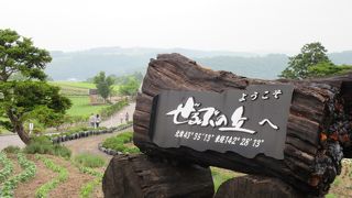 規模を比べると