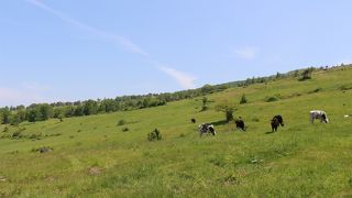 四阿山登山道の拠点