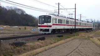 のどかな車窓風景も