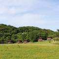 桜島野営場