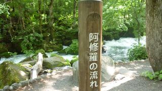 自転車はこの道を走ります。