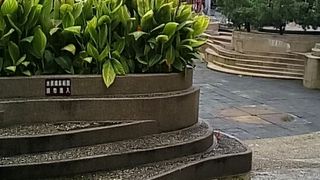 感じがいいとは言えない