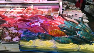 色とりどりのお魚