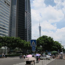広州タワーも見えています