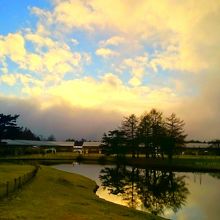 アウトレット中央の池