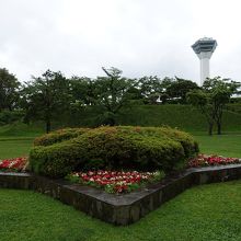 五稜郭公園の中ほどにある星形の花壇