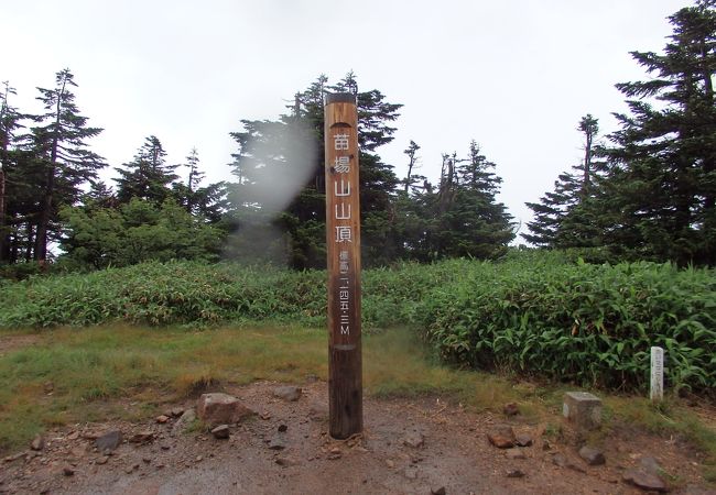 苗場山登山（初日）