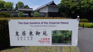 都会のオアシス