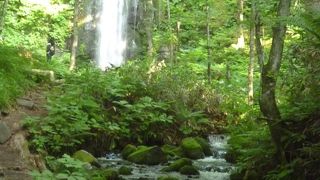 渓流の向かい側です