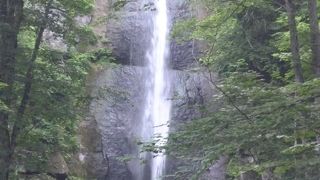 木々の間に見えました