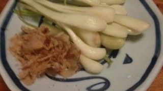 少し小さな呑者家