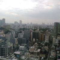 ちょっと前まで富士山が観えました。