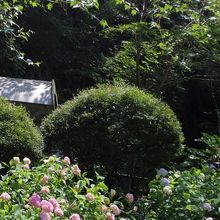 ここが入り口ですが、通り過ぎたところに、駐車場と、別の入り口