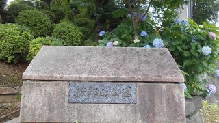 落ち着いた雰囲気の起伏の多い公園