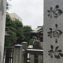 勝利を祈願に伺いました。