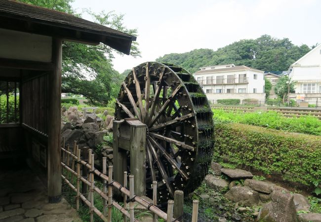 三鷹の水車小屋博物館 しんぐるま 大沢の里水車経営農家 クチコミ アクセス 営業時間 吉祥寺 三鷹 フォートラベル 三鷹の水車小屋博物館 しんぐるま 大沢の里水車経営農家 クチコミ アクセス 営業時間 吉祥寺 三鷹 フォートラベル