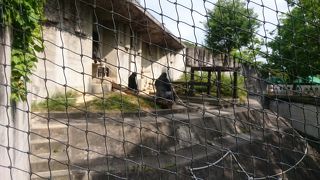 ３回目。何度でも行きたくなる動物園♥