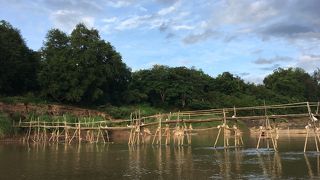 バンブーブリッジもあり