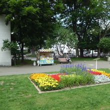 とうきびの売店