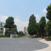 公園内です