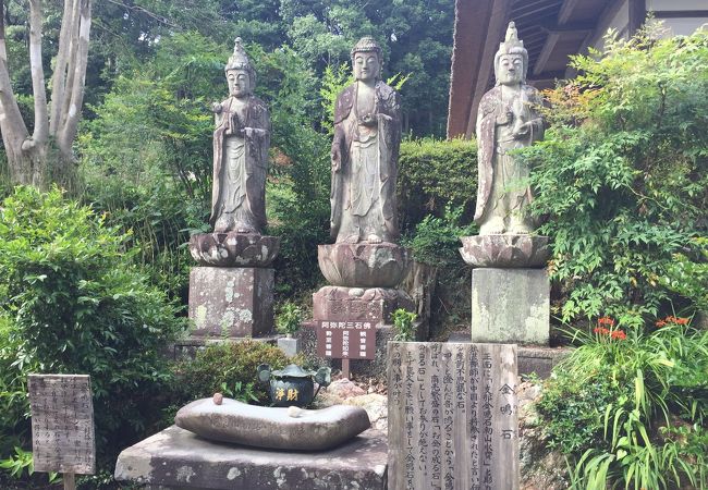 浜名湖湖北五山めぐりと御朱印　初山宝林寺